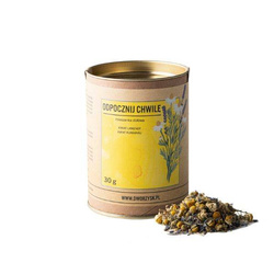 Dworzysk Mieszanka Ziołowa Odpocznij Chwilę 35g